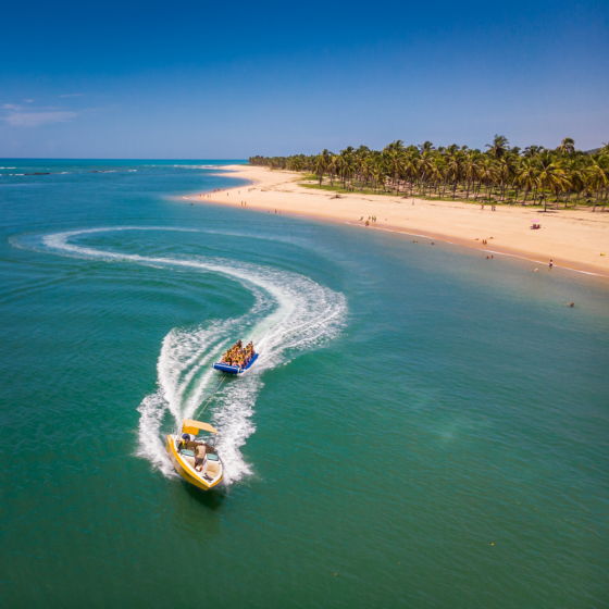 A Praia do Gunga é um dos destinos em Alagoas para descansar